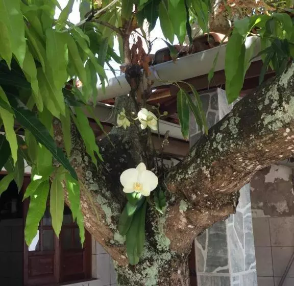 ユースホステル Pousada Da Mércia Itapuã