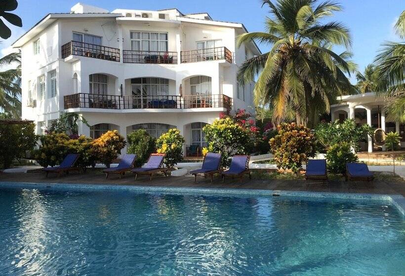 Hotel Albatross Ocean View