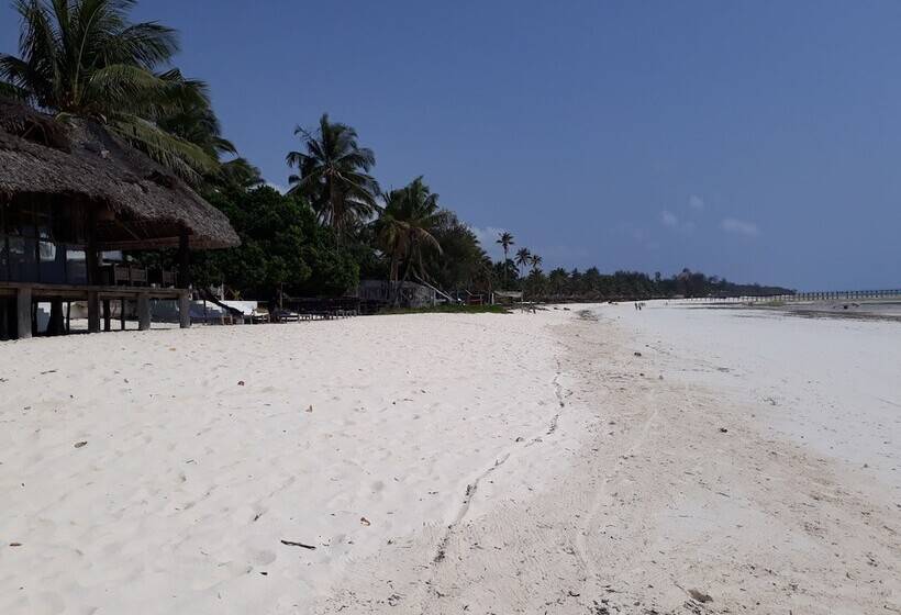 Hotel Albatross Ocean View