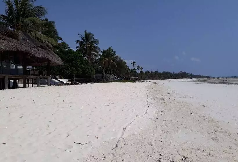 ホテル Albatross Ocean View