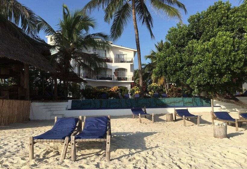 Hotel Albatross Ocean View