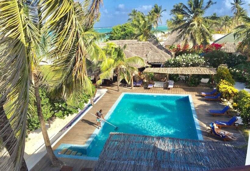 Hotel Albatross Ocean View