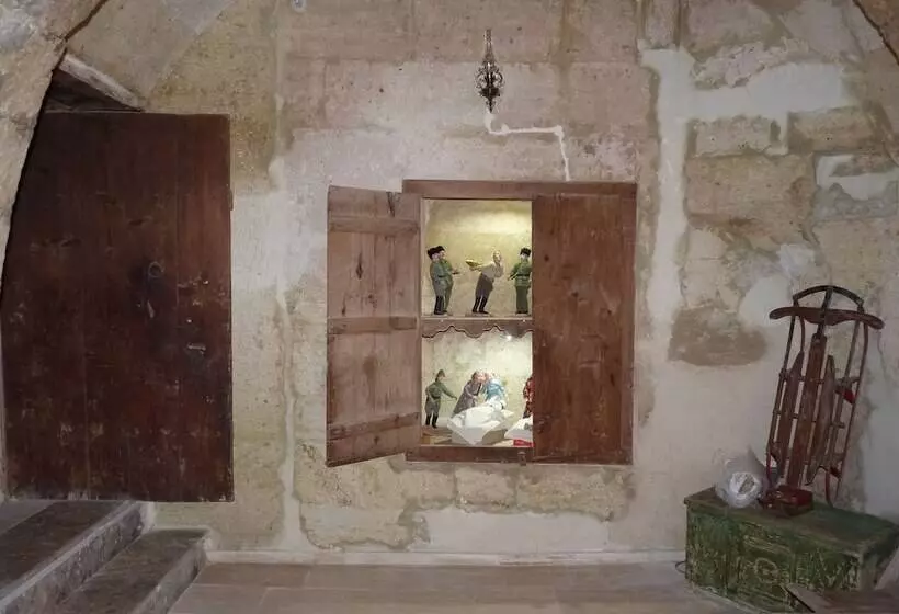 هتل Buyuk Sinasos Konagi