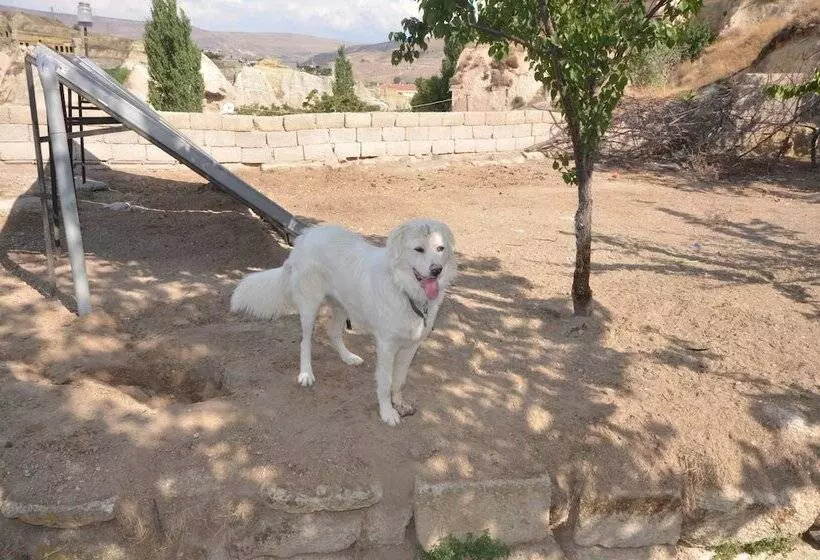 בית מלון כפרי Cappadocia Abras Cave
