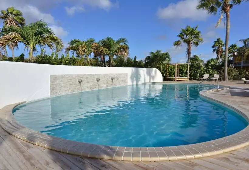 هتل Chogogo Dive & Beach Resort Curacao