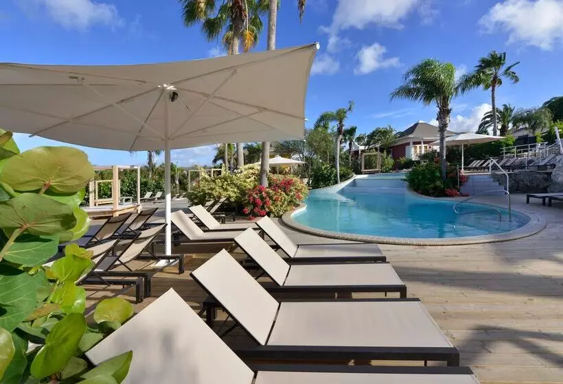 هتل Chogogo Dive & Beach Resort Curacao