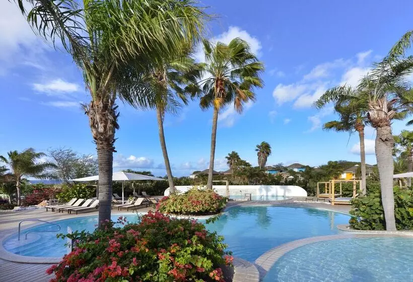 هتل Chogogo Dive & Beach Resort Curacao