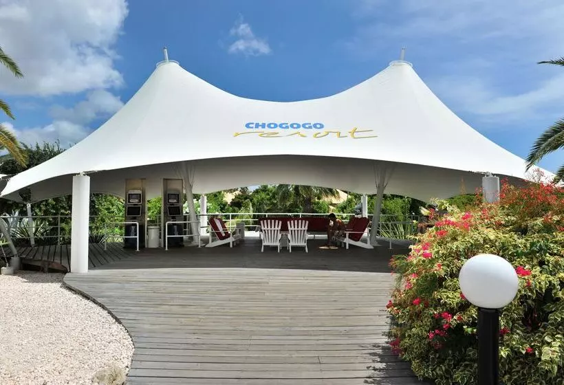 هتل Chogogo Dive & Beach Resort Curacao