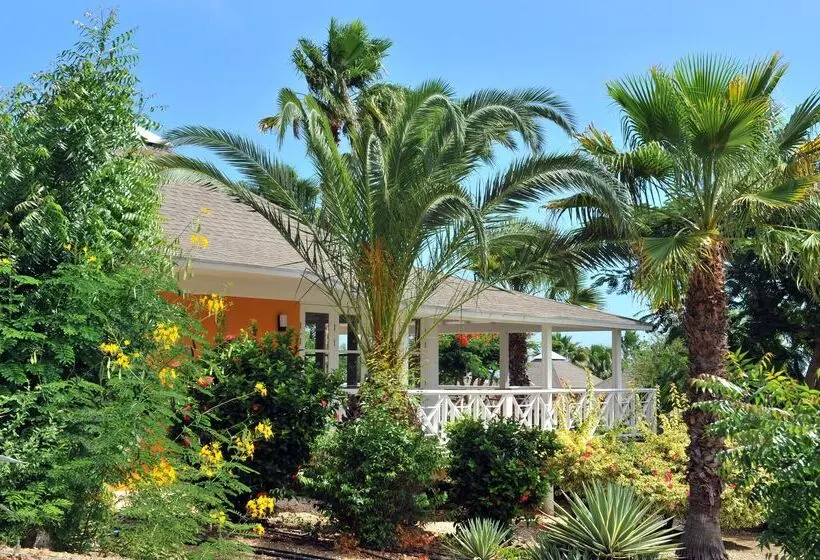 هتل Chogogo Dive & Beach Resort Curacao