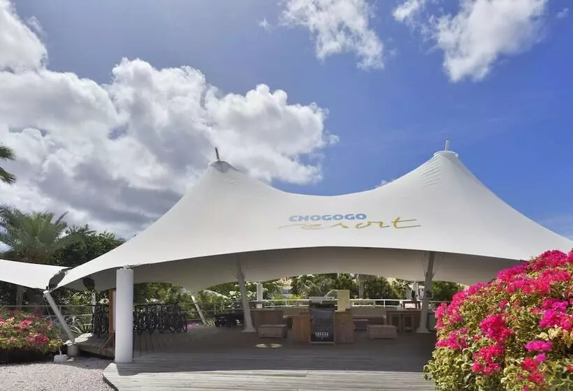 هتل Chogogo Dive & Beach Resort Curacao