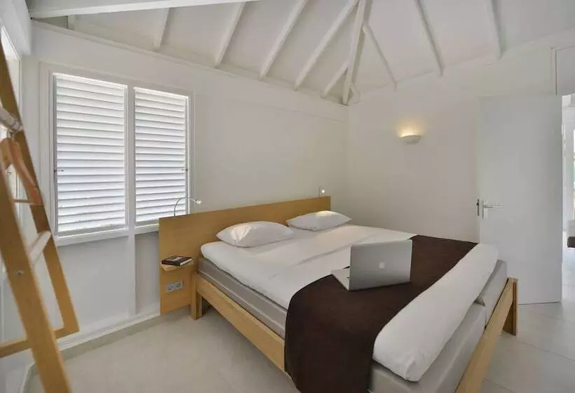 هتل Chogogo Dive & Beach Resort Curacao