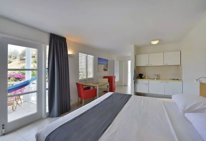 هتل Chogogo Dive & Beach Resort Curacao