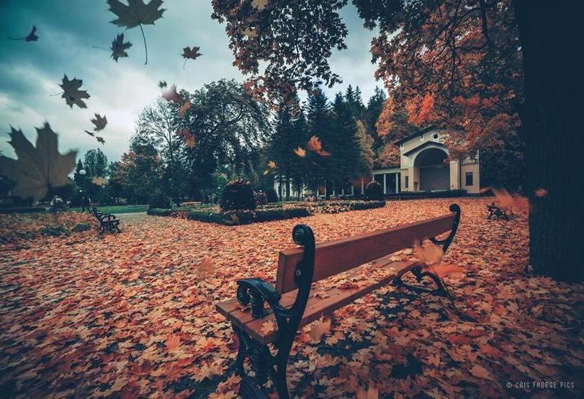 ホテル Resort De Esperanto Sanatorium Uzdrowiskowe