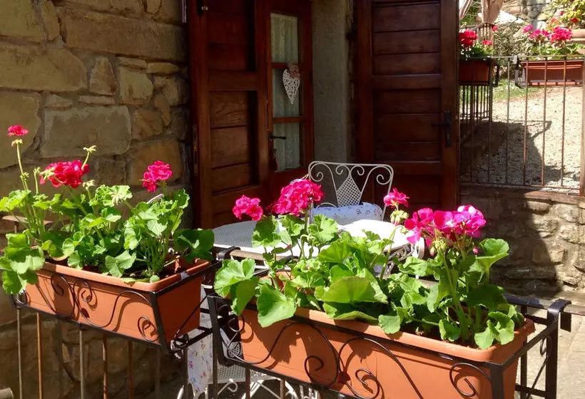 هتل Borgo Dolci Colline