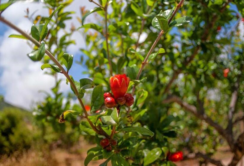 בית מלון כפרי Efrosini Village