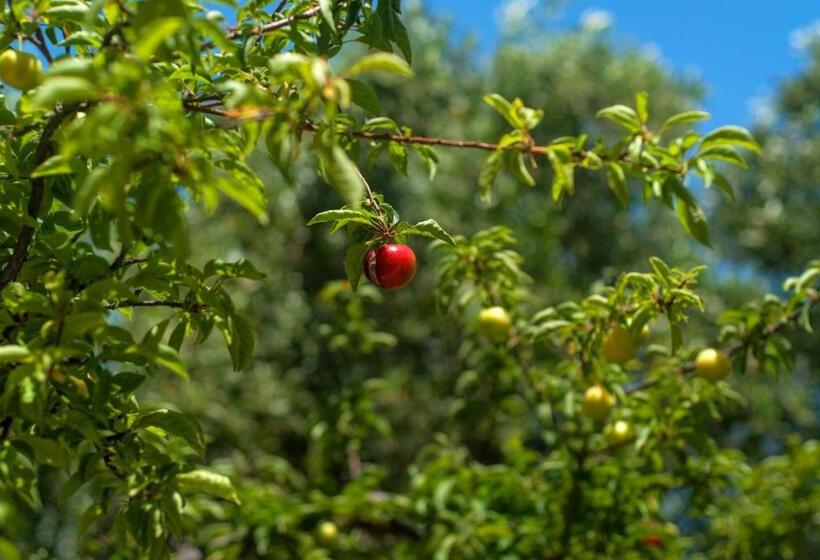בית מלון כפרי Efrosini Village