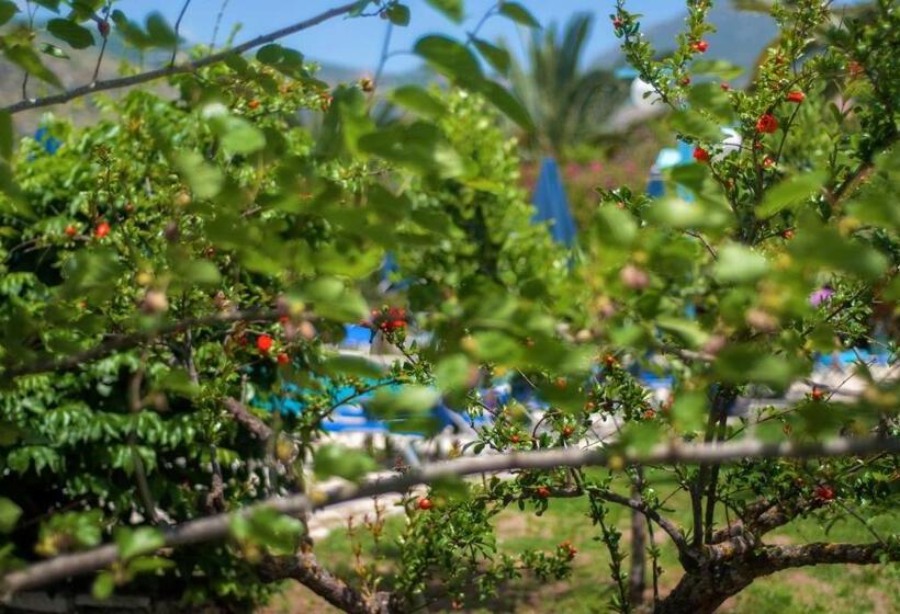 בית מלון כפרי Efrosini Village