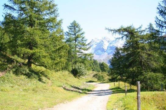 ホテル Mittlenberghuette - Binntal Alpinhuette