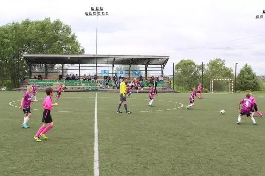 ホテル Petrovodalnee Holiday