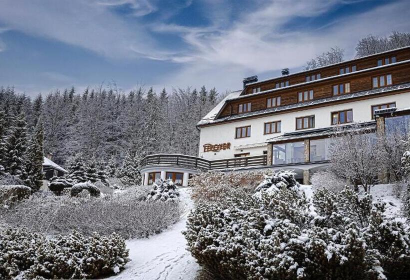 בית מלון כפרי Troyer