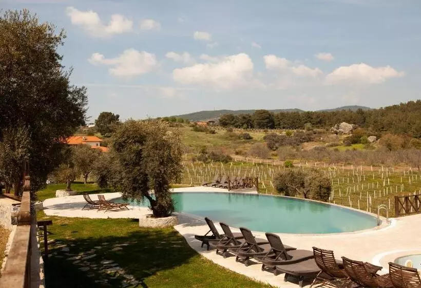 هتل Vinifera Vineyards