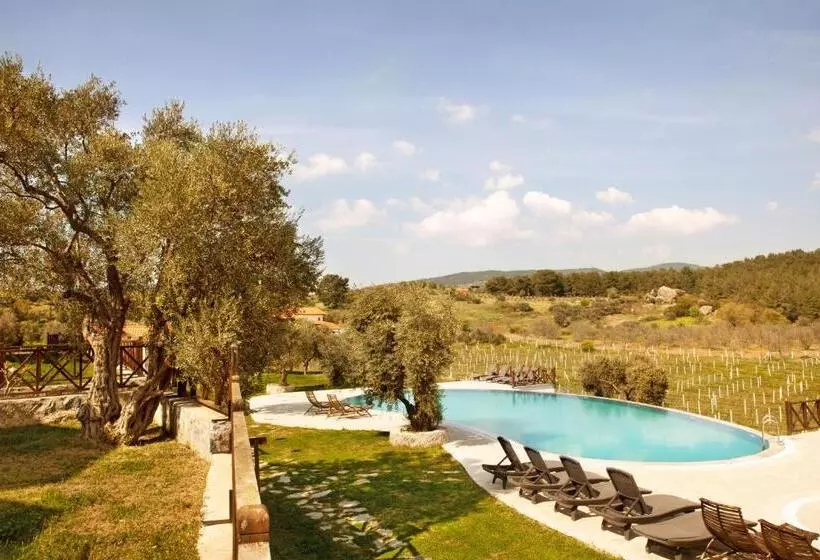 هتل Vinifera Vineyards