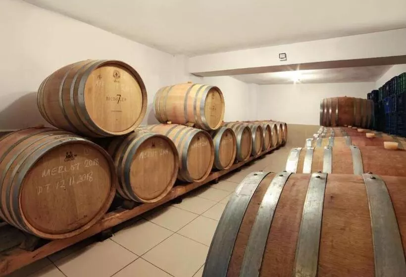 هتل Vinifera Vineyards