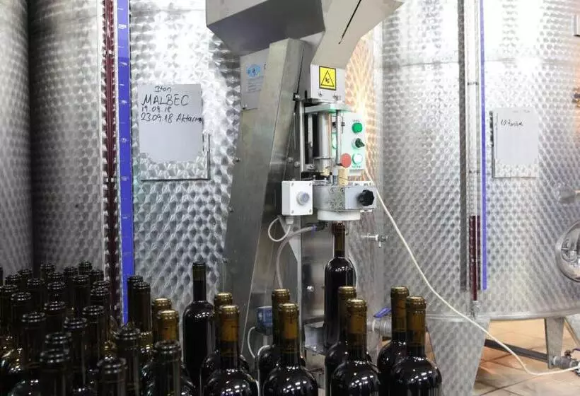 هتل Vinifera Vineyards