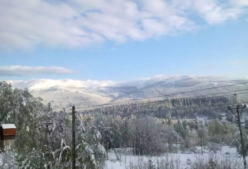 Hotel Zającówka Idealna Lokalizacja Leśna Enklawa W Centrum Miasta! Sauna, Masaże, Zabiegi Spa!