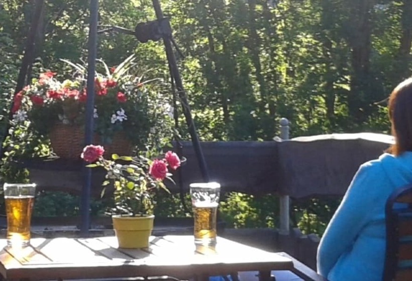 فندق Zającówka Idealna Lokalizacja Leśna Enklawa W Centrum Miasta! Sauna, Masaże, Zabiegi Spa!