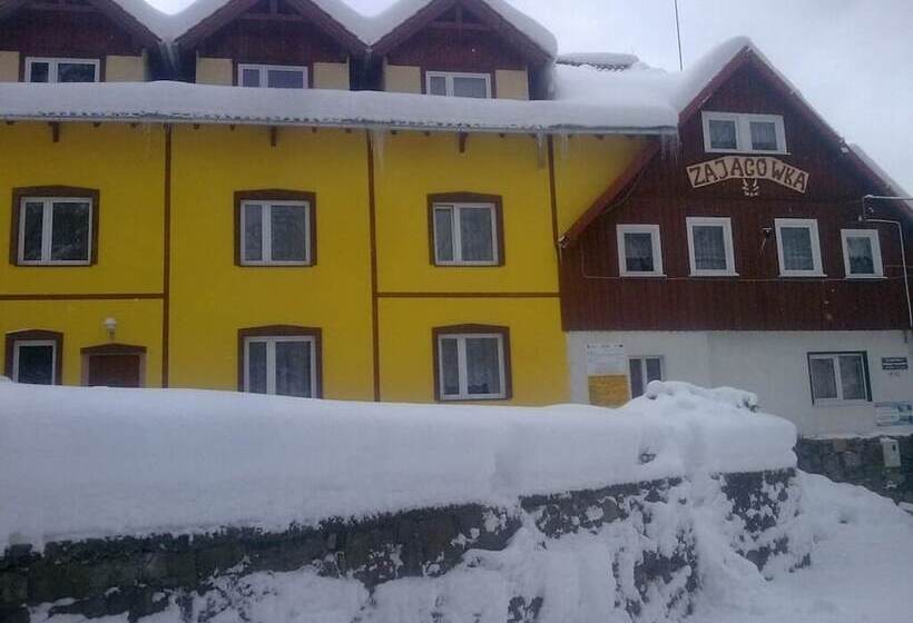 فندق Zającówka Idealna Lokalizacja Leśna Enklawa W Centrum Miasta! Sauna, Masaże, Zabiegi Spa!