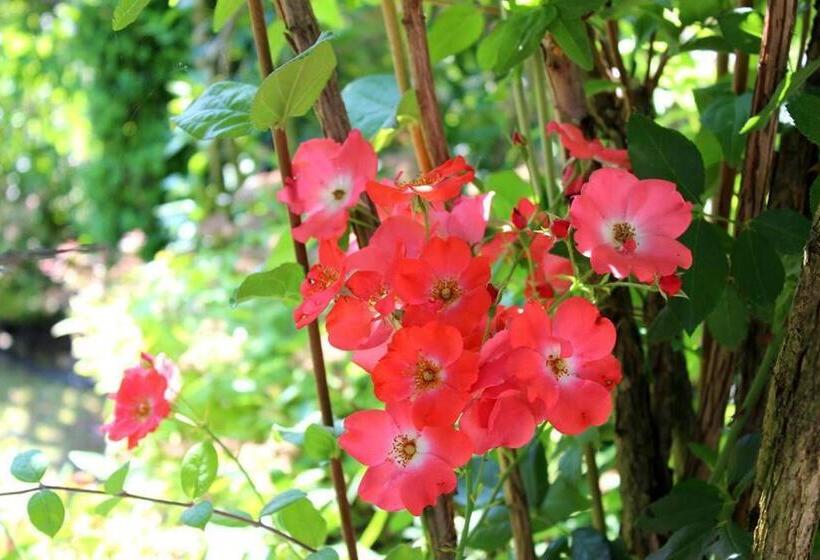 Joia Hotel & Luxury Apartments