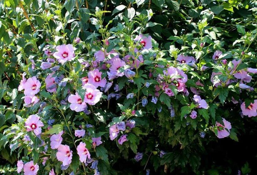 Joia Hotel & Luxury Apartments