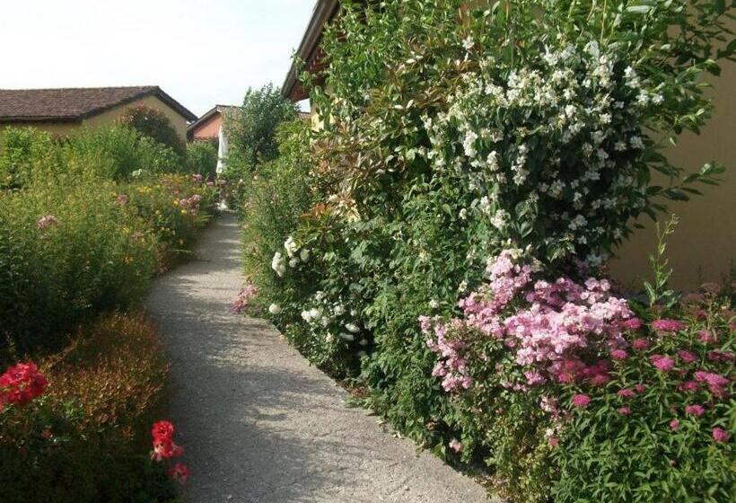 Joia Hotel & Luxury Apartments