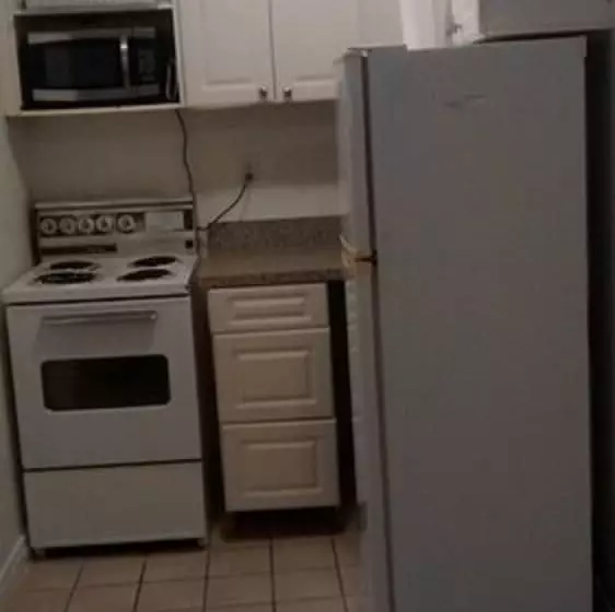 호텔 Toronto Furnished Living