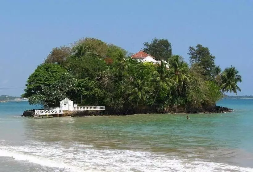 پانسیون Hector House