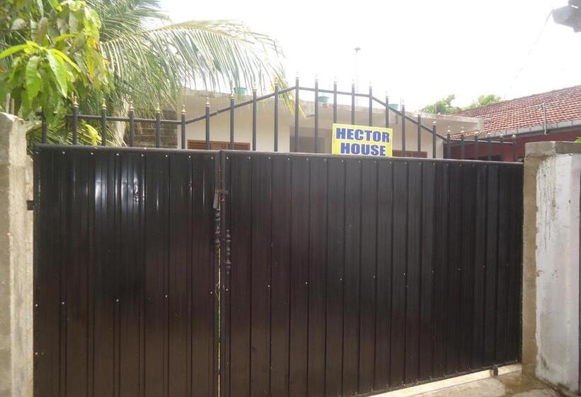 Pensiune Hector House