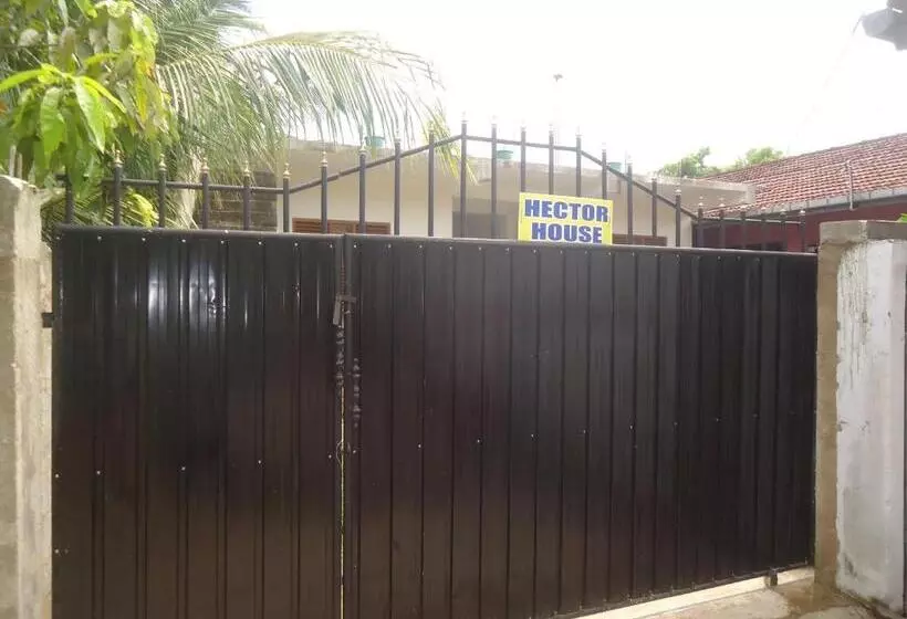 پانسیون Hector House