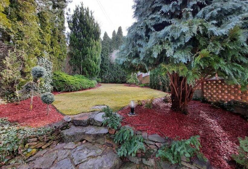 مبيت وإفطار Cecey Vendégház