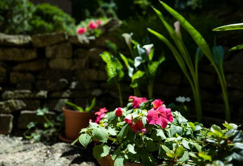 مبيت وإفطار Cecey Vendégház