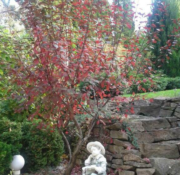 مبيت وإفطار Cecey Vendégház