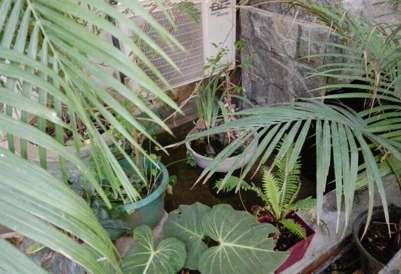 مبيت وإفطار Sacred City Tourist Resort