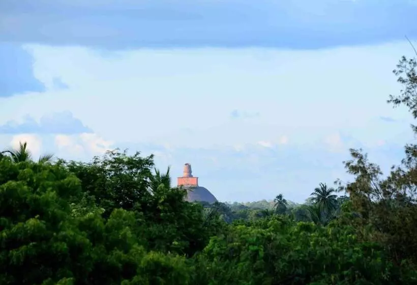 تختخواب و صبحانه Sacred City Tourist Resort