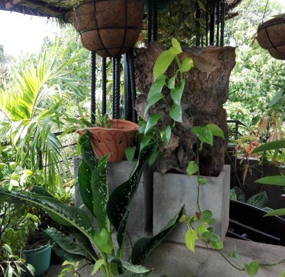 مبيت وإفطار Sacred City Tourist Resort