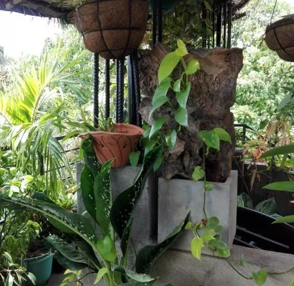 تختخواب و صبحانه Sacred City Tourist Resort