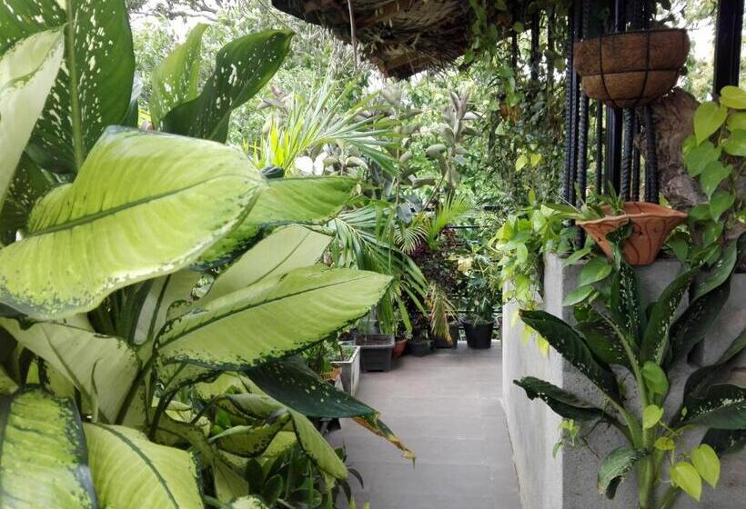 مبيت وإفطار Sacred City Tourist Resort