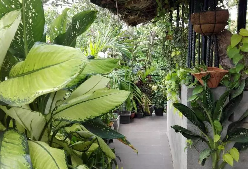 تختخواب و صبحانه Sacred City Tourist Resort