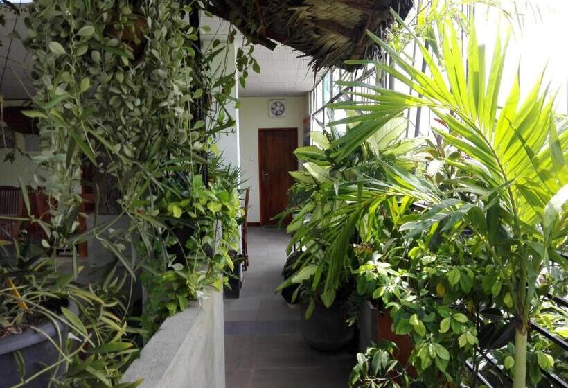 مبيت وإفطار Sacred City Tourist Resort