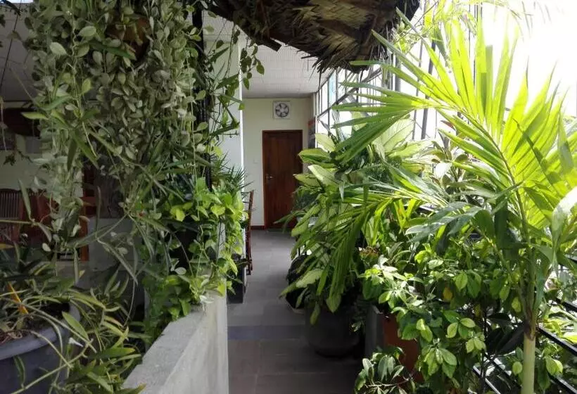 تختخواب و صبحانه Sacred City Tourist Resort