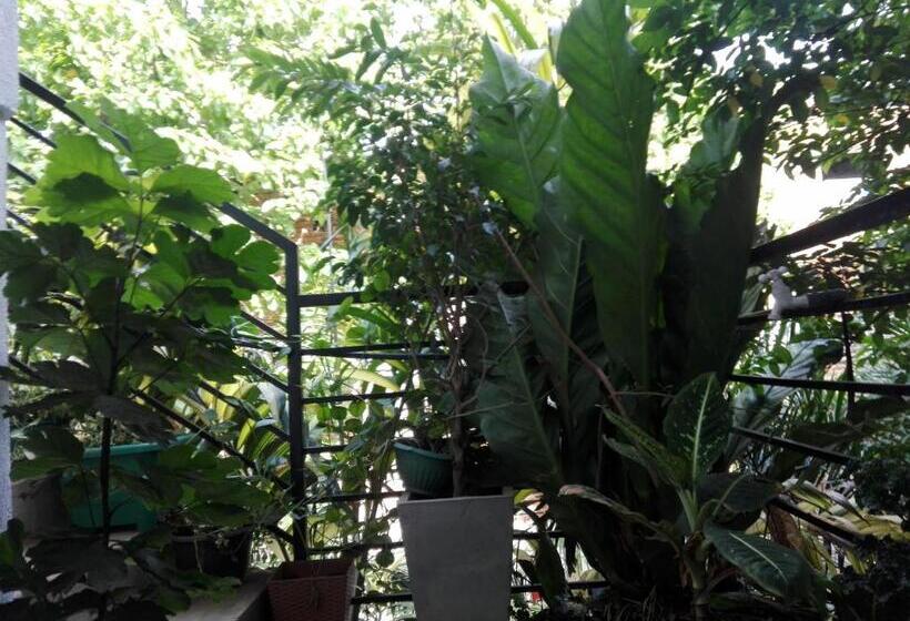 مبيت وإفطار Sacred City Tourist Resort